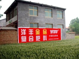甘泉如何让墙体广告展现最大化效果