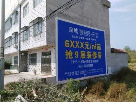 甘泉墙体广告质量分析