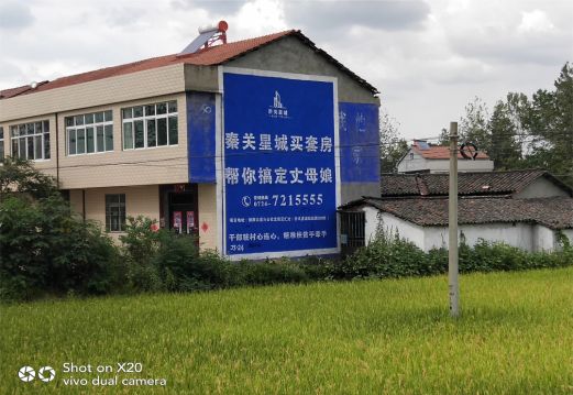 甘泉决定墙体广告价格的因素有哪些？